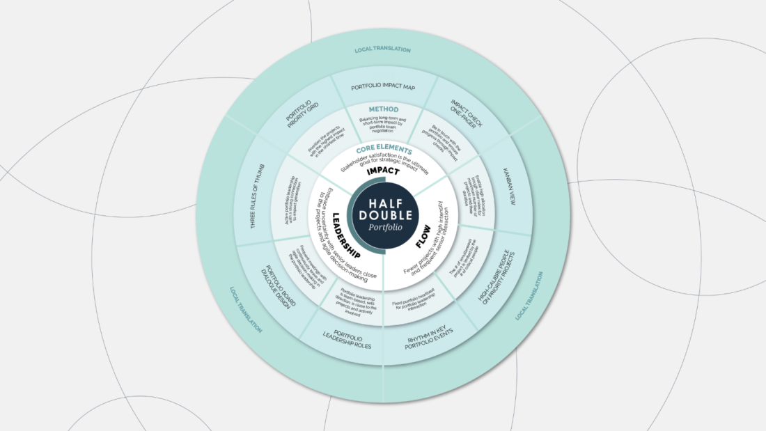 A hybrid project management methodology at portfolio level